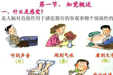 鱼目混珠 是知觉的什么属性