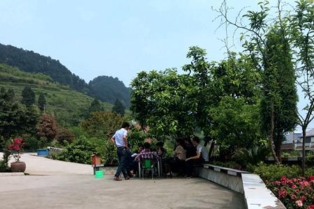 农村修院坝申请流程