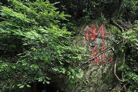 长寿湖卧龙谷占地面积