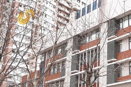 奎文小学怎么样