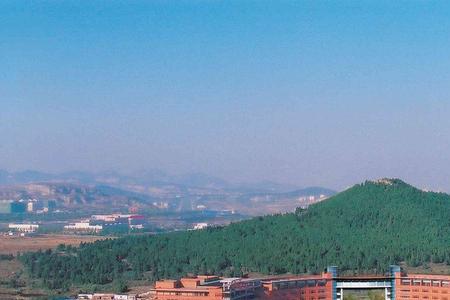 山东建筑大学标志植物