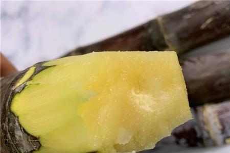 拼多多卖的甘蔗种子靠谱吗