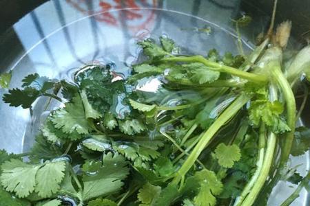 香菜放在水中能保存多久