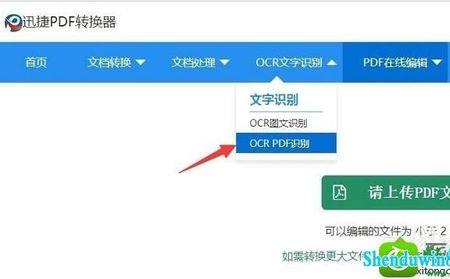 文档里复制的字体怎么不全显示