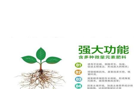赤霉素与生根粉的区别