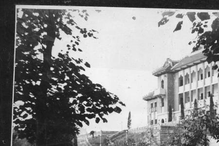 重庆工商大学香樟林是干什么的