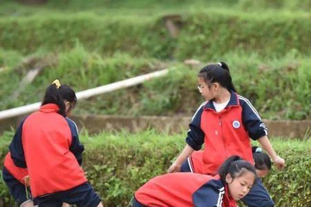 什么是辛勤劳动的延伸和表现