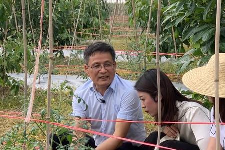 云种植的特色与创新点