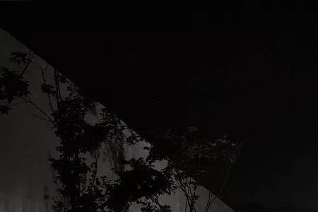 还盼我孑孓不独活意思