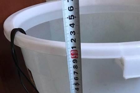 水桶养鱼