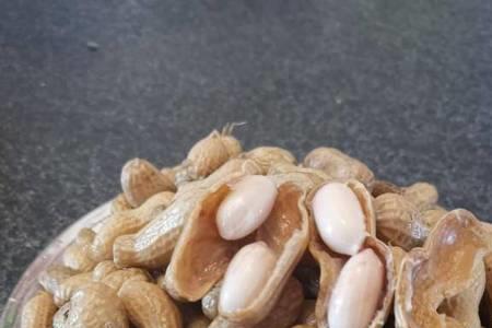 带皮花生怎么煮才能入味