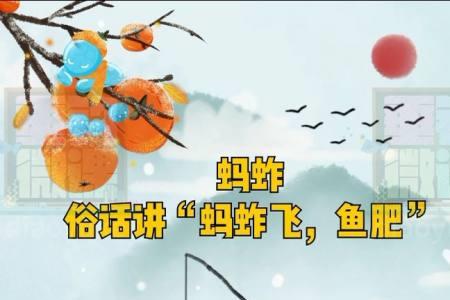 蚂蚱蚯蚓钓鱼对比
