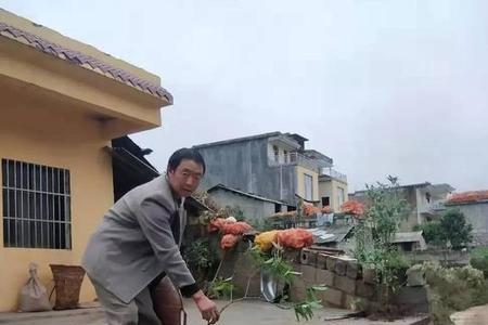 农村水泥院坝硬化标准