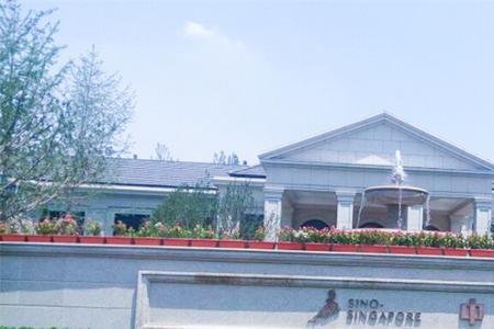 中新国际城小学怎么样