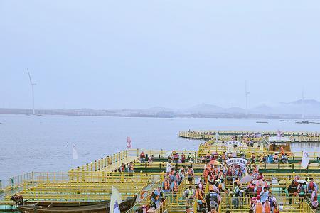 荣成八个海洋牧场哪个最好