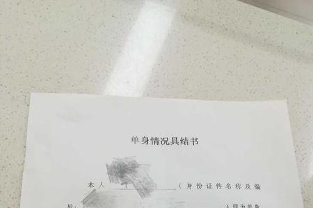 网上怎么申请单身证明