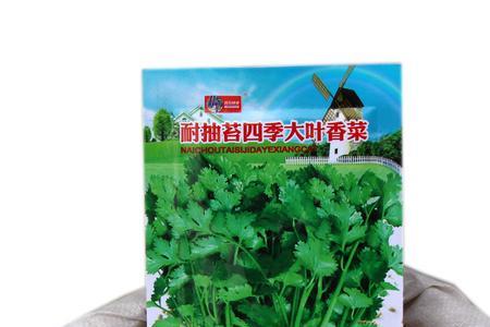 香菜种子怎么弄成两半