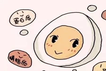 为什么姐姐生孩子要吃鸡蛋