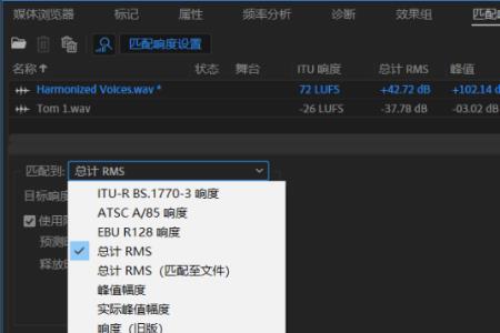 RMS什么意思
