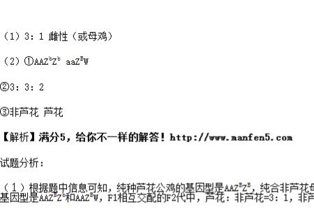 zw和zz有什么区别
