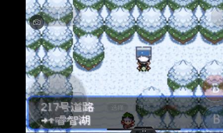 究极绿宝石5.3大岩蛇进化