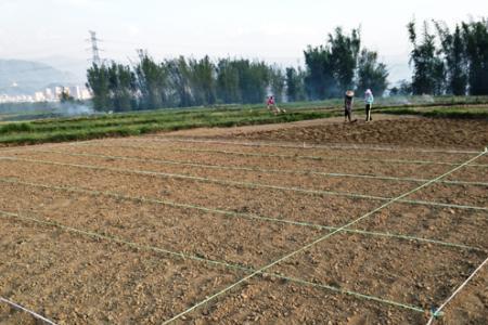 株距和行距在数学上是什么意思