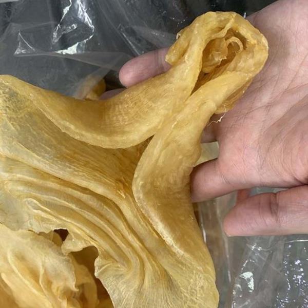 斗湖鱼胶与赤嘴鱼胶哪个好