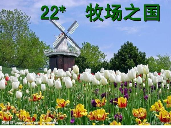 仿写牧场之国的第四自然段