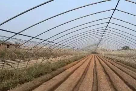 一根垄宽度是多少米