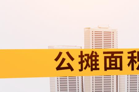 公共面积最新法律规定