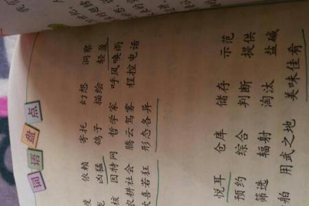 不如可以用什么词代替