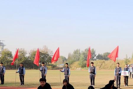 学校举办运动会的目的和意义