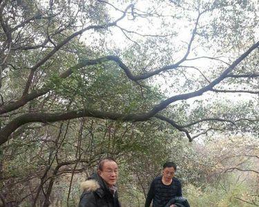 三茅峰多少台阶