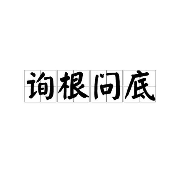 询标什么意思