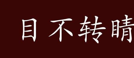 盯着的成语