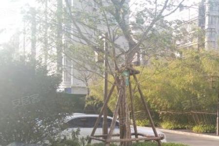 漳州十大高档小区