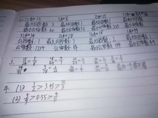 小学问题什么是最简分数