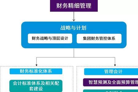 建立会计数据标准体系包括
