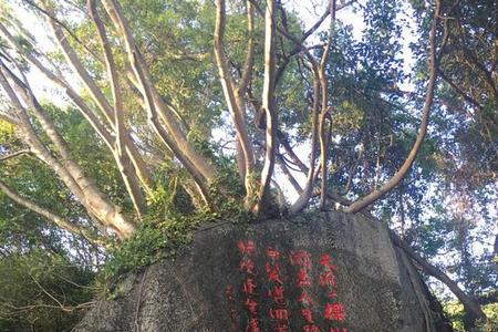请问天涯人生什么意思