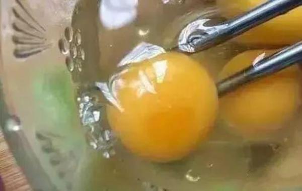 构树蛋可以放冰箱吗
