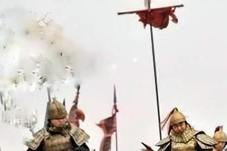 因共立以为将以拒燕以为的意思