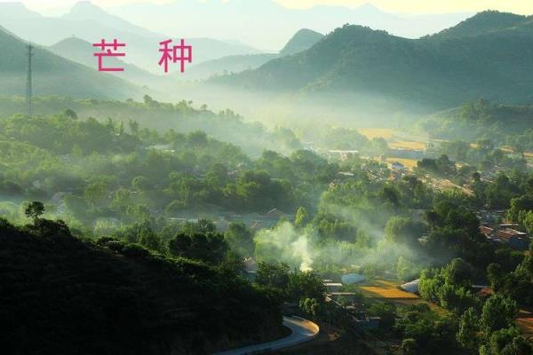 主角唱芒种的小说