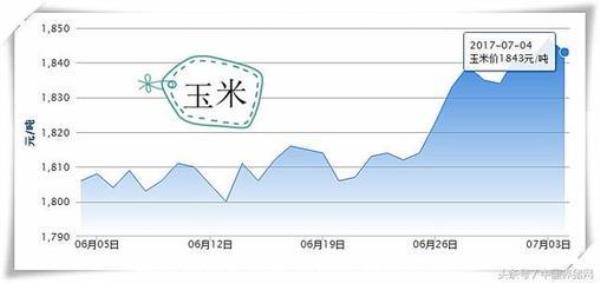 夏季玉米产量预测