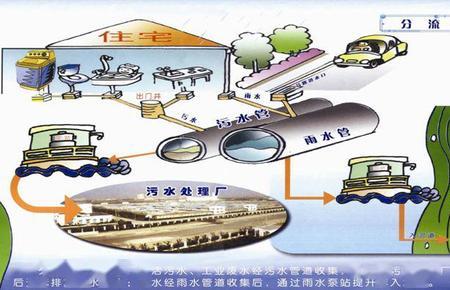 污水直排什么意思