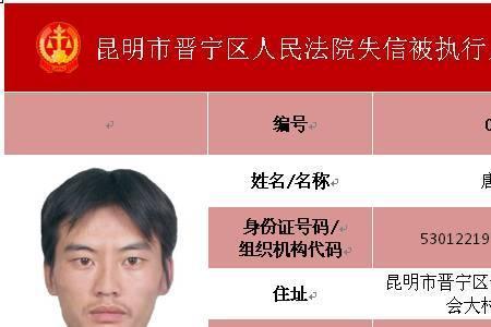 执行文号是什么