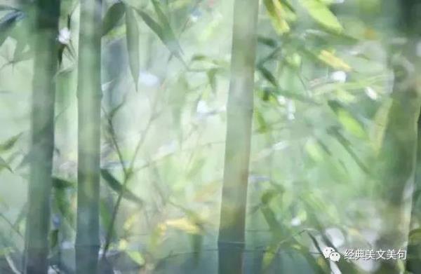半青半紫，什么意思