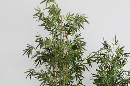 环氧树脂处理竹子后能防腐吗