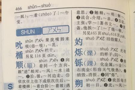 煎在新华字典12版的多少页
