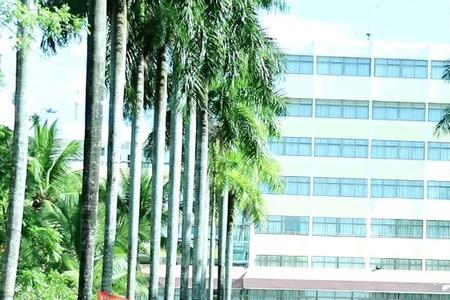 海南大学观澜湖校区什么专业