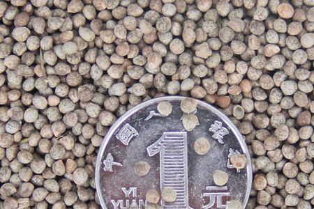 酥麻籽一斤榨多少油